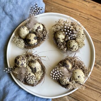 Handmade Miniature Nests With Real Blown Quail Eggs, 6 of 9