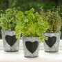 Set Of Three Personalised Herb Planters, thumbnail 7 of 11