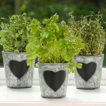 Set Of Three Personalised Herb Planters, 7 of 11