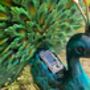 Light Up Metal Garden Peacock, thumbnail 4 of 9