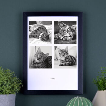 Personalised Four Photos Pet Print, 5 of 7