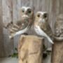 Pair Hand Painted Lovers Friends Wooden Owls Balinese Craft Ornament Figurine Gift, thumbnail 5 of 9