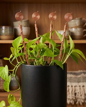 Copper Spiral Plant Support Stake, 8 of 9