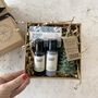 Evergreen Natural Gift Set, thumbnail 8 of 12