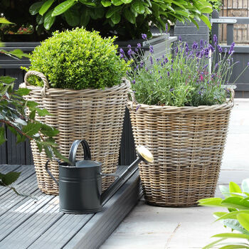 Extra Large Zinc Lined Rattan Planter By Marquis & Dawe ...