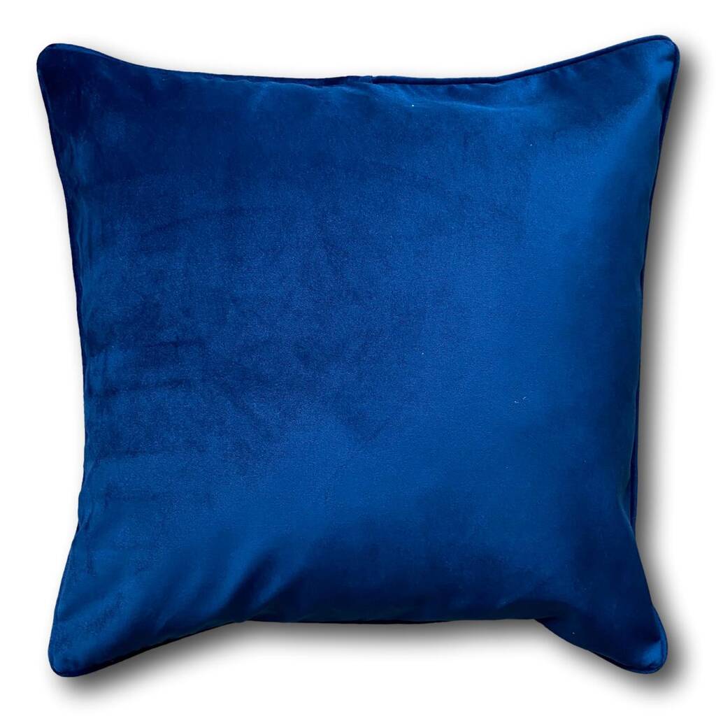 Blue Velvet Cushion, 1 of 2