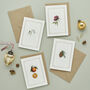 Botanist Archive Clementine Christmas Card, thumbnail 4 of 4