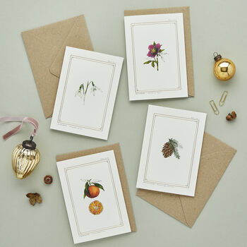 Botanist Archive Clementine Christmas Card, 4 of 4