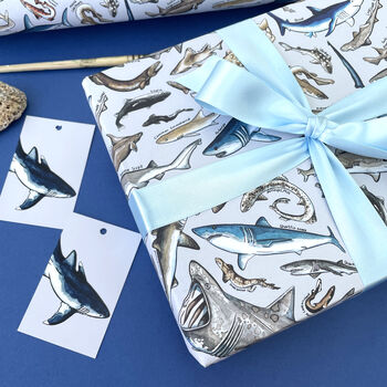 Sharks Species Wrapping Paper, 4 of 5