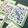 Wildlife Of Britain Greeting Cards Pack Volume Six, thumbnail 6 of 9