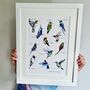 Hummingbirds Of The World Illustrated Print, thumbnail 1 of 8