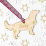 Personalised Pet Name And Shape Christmas Decoration, thumbnail 1 of 10