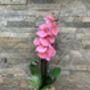 Pink Artificial Silk Orchid Mothers Day Gift, thumbnail 4 of 7