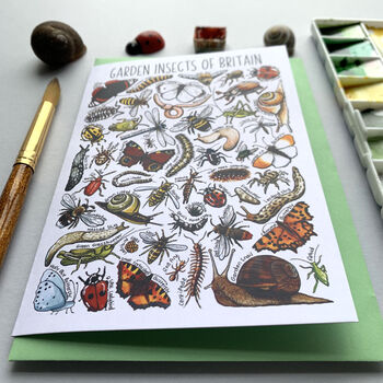 Garden Insects Of Britain Greeting Card, 9 of 12