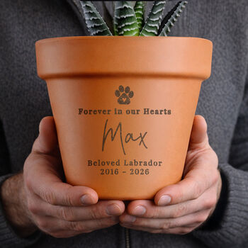 Personalised Pet Memorial Plant Pot Sympathy Gift, 2 of 6
