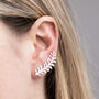 Sterling Silver Vine Ear Climber, thumbnail 1 of 4