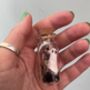 Pet Ghost In A Jar With Dried Flowers, thumbnail 2 of 2