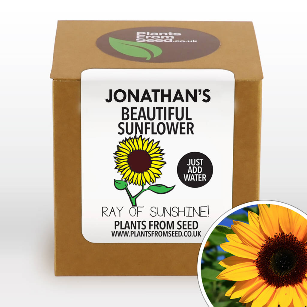 Complete Grow Your Own Giant Sunflower Plant Kit By Plants