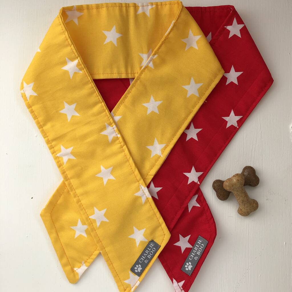 boy dog bandanas