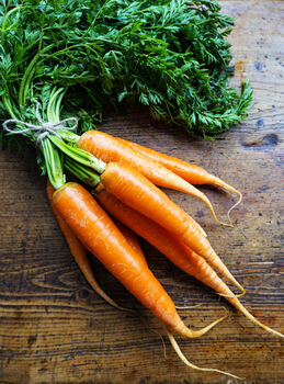 Carrot 'Chantenay' 12 X Plant Pack, 4 of 6
