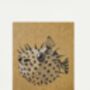 Shaded Fish Pointillism Diy Art Kit Set Of Four, thumbnail 2 of 9