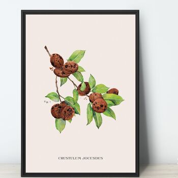 Cookies Botanical Print, 10 of 10
