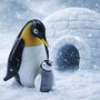 Glass Family Penguin Figurine | Gift Boxed | Decoration | Collectable | Gift For Home, thumbnail 1 of 4