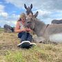 Meet The Donkeys Experience With Picnic For Two, thumbnail 1 of 9