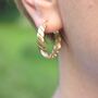 Twisted Hoop Earrings For Women 18k Gold Plated, thumbnail 3 of 7