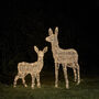 Swinsty Doe And Fawn Dual LED Battery Outdoor Reindeer, thumbnail 4 of 4