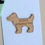 '70 Years Of Pawfect You!' Dog Token And Birthday Card, thumbnail 2 of 2