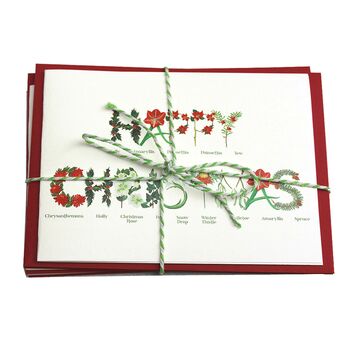 Happy Christmas Botanical Card, 2 of 4
