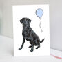 Black Labrador Birthday Card With Blue Balloon, thumbnail 1 of 9