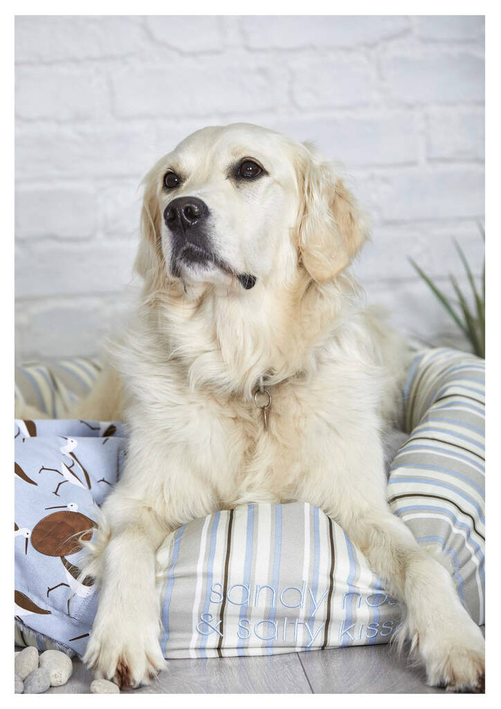 Coastal Stripe Round Luxury Dog Bed By Blackdown Lifestyle