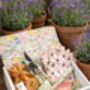 Blooming Wonderful Wildflower Seeds Gift Set, thumbnail 1 of 7