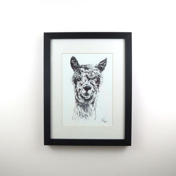 Five Framed Pen And Ink Illustrations Of Farm Animals, 6 of 11