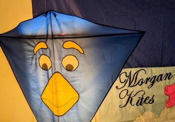 Wacky Bird Kite, 7 of 7
