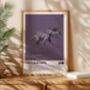Dinosaurs Gallery Wall Art Prints Set Of Seven, thumbnail 6 of 8