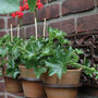 51cm Heavy Cast Iron Flowerpot Holder For Flower Pots Wall Mounted, thumbnail 3 of 4