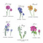 Family Birth Month Flower Print, thumbnail 4 of 5