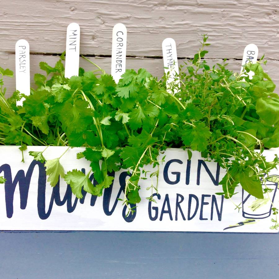 Personalised Gin Garden With Herb Seeds By Potting Shed 