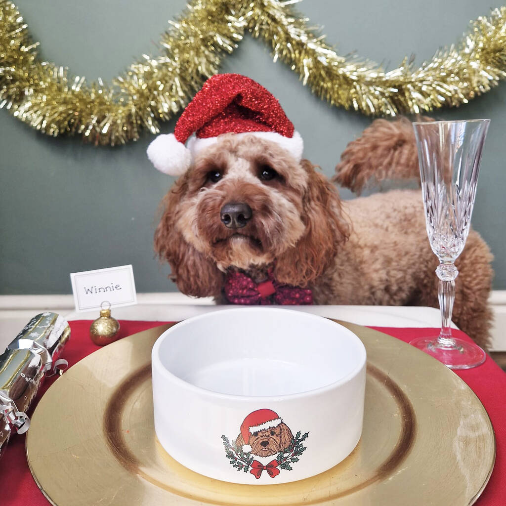 Christmas dog food bowls best sale