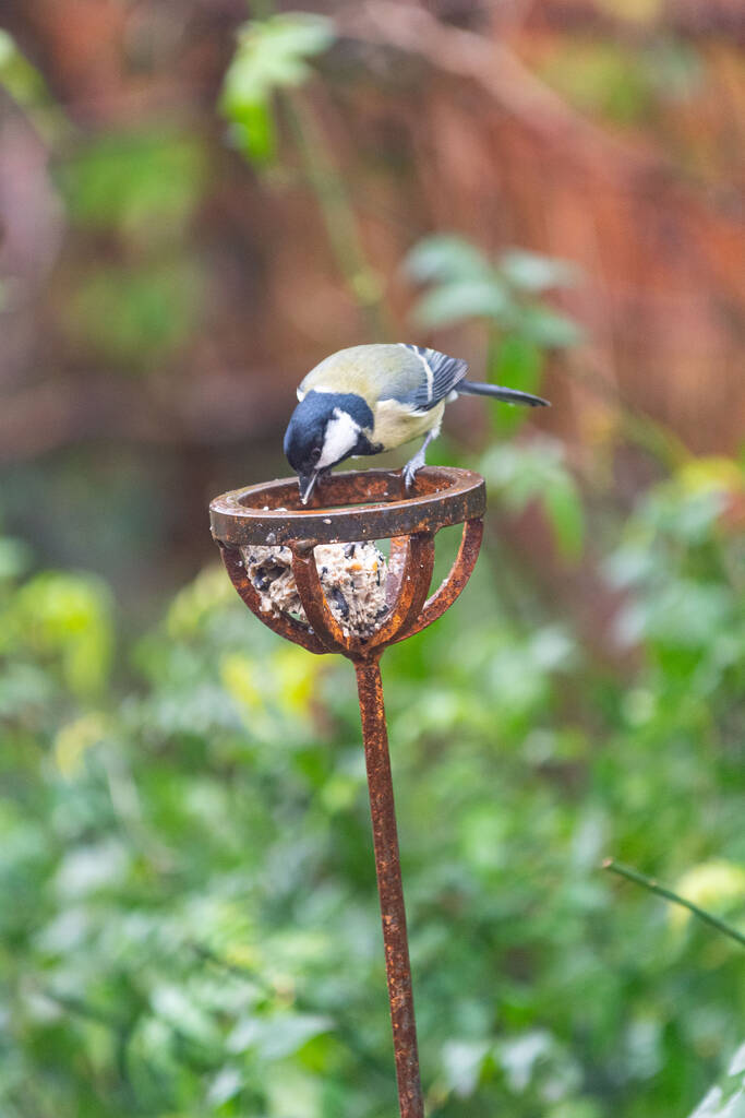 Fat Ball Holder Bird Feeder Stake By Savage Works