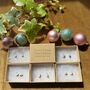 Five Pairs Of Sterling Silver Earrings For Christmas, thumbnail 1 of 9