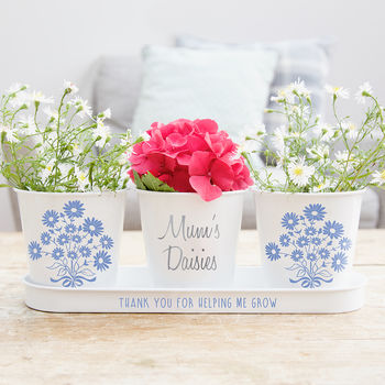 Personalised Pots And Daisy Seeds, 5 of 6