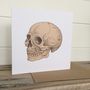 Anatomical Skull Illustration Greetings Card, thumbnail 3 of 4
