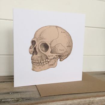 Anatomical Skull Illustration Greetings Card, 3 of 4