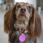 Personalised Leather Pet Name Tag, thumbnail 4 of 6