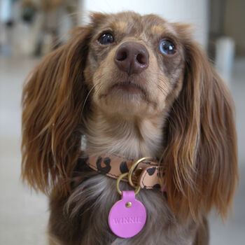 Personalised Leather Pet Name Tag, 4 of 6