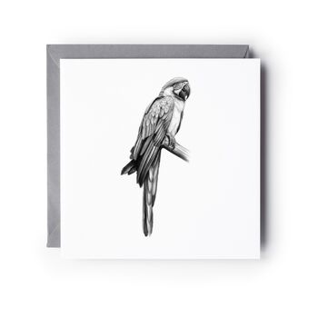 Parrot Hand Drawn Greeting Card, 2 of 6